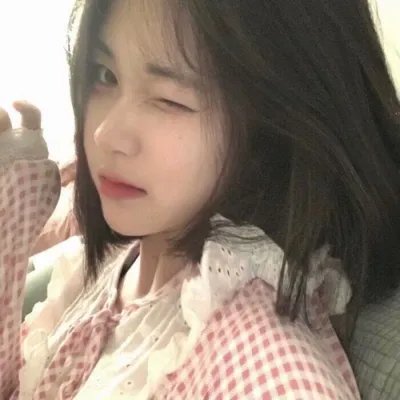北极征熊记